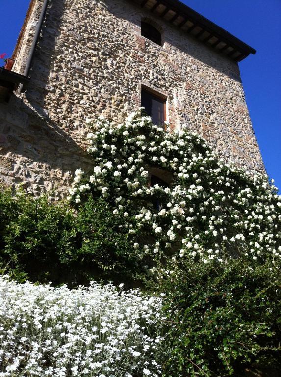 Fortezza De' Cortesi サン・ジミニャーノ エクステリア 写真